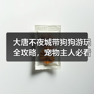 大唐不夜城带狗狗游玩全攻略,宠物主人必看!(图1) 大唐不夜城带狗狗游玩全攻略,宠物主人必看!(图1)