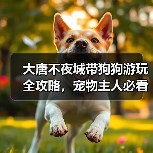 大唐不夜城带狗狗游玩全攻略,宠物主人必看!(图4) 大唐不夜城带狗狗游玩全攻略,宠物主人必看!(图4)