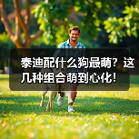 泰迪配什么狗最萌？这几种组合萌到心化！(图1)