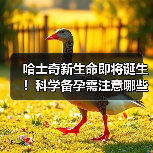 哈士奇新生命即将诞生!科学备孕需注意哪些关键点?(图3) 哈士奇新生命即将诞生!科学备孕需注意哪些关键点?(图3)