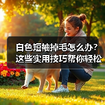 白色短袖掉毛怎么办?这些实用技巧帮你轻松告别掉毛烦恼(图3) 白色短袖掉毛怎么办?这些实用技巧帮你轻松告别掉毛烦恼(图3)