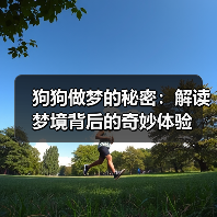 狗狗做梦的秘密:解读梦境背后的奇妙体验(图1) 狗狗做梦的秘密:解读梦境背后的奇妙体验(图1)