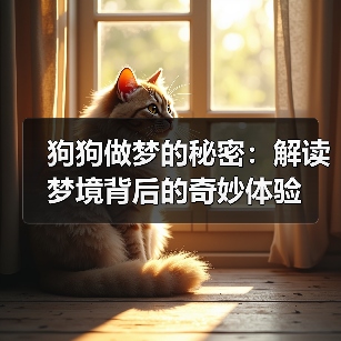 狗狗做梦的秘密:解读梦境背后的奇妙体验(图3) 狗狗做梦的秘密:解读梦境背后的奇妙体验(图3)