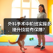 外科手术中阶班实操多,提升技能有保障?(图2) 外科手术中阶班实操多,提升技能有保障?(图2)