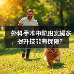 外科手术中阶班实操多,提升技能有保障?(图1) 外科手术中阶班实操多,提升技能有保障?(图1)