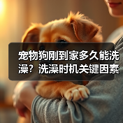 宠物狗刚到家多久能洗澡？洗澡时机关键因素揭秘(图1)