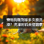 宠物狗刚到家多久能洗澡？洗澡时机关键因素揭秘(图3)