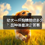 幼犬一斤狗粮能吃多久?品种体重决定答案(图1) 幼犬一斤狗粮能吃多久?品种体重决定答案(图1)