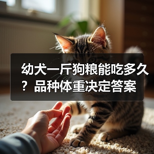 幼犬一斤狗粮能吃多久?品种体重决定答案(图4) 幼犬一斤狗粮能吃多久?品种体重决定答案(图4)