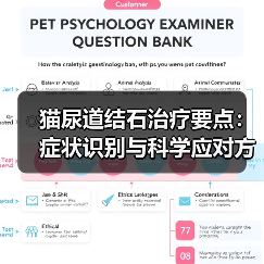 猫尿道结石治疗要点：症状识别与科学应对方