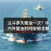 法斗多久驱虫一次?体内外驱虫时间安排全解析(图3) 法斗多久驱虫一次?体内外驱虫时间安排全解析(图3)