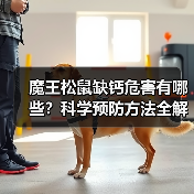 魔王松鼠缺钙危害有哪些?科学预防方法全解析(图2) 魔王松鼠缺钙危害有哪些?科学预防方法全解析(图2)