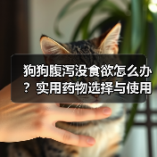 狗狗腹泻没食欲怎么办?实用药物选择与使用指南(图4) 狗狗腹泻没食欲怎么办?实用药物选择与使用指南(图4)