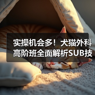 实操机会多！犬猫外科高阶班全面解析SUB