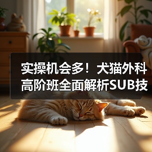 实操机会多!犬猫外科高阶班全面解析SUB技术(图3) 实操机会多!犬猫外科高阶班全面解析SUB技术(图3)