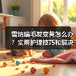 雪纳瑞毛发变黄怎么办？实用护理技巧和解决
