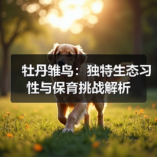 牡丹雏鸟:独特生态习性与保育挑战解析(图2) 牡丹雏鸟:独特生态习性与保育挑战解析(图2)
