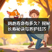 鹦鹉寿命有多久?揭秘长寿秘诀与养护技巧(图4) 鹦鹉寿命有多久?揭秘长寿秘诀与养护技巧(图4)