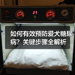 如何有效预防爱犬糖尿病?关键步骤全解析(图3) 如何有效预防爱犬糖尿病?关键步骤全解析(图3)