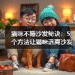 猫咪不睡沙发秘诀:5个方法让猫咪远离沙发(图1) 猫咪不睡沙发秘诀:5个方法让猫咪远离沙发(图1)