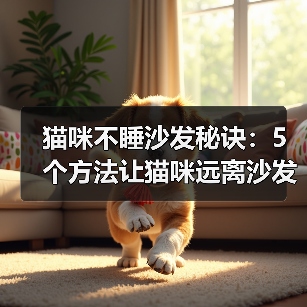 猫咪不睡沙发秘诀:5个方法让猫咪远离沙发(图2) 猫咪不睡沙发秘诀:5个方法让猫咪远离沙发(图2)