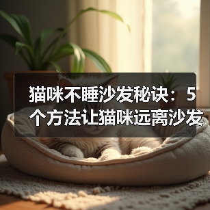 猫咪不睡沙发秘诀:5个方法让猫咪远离沙发(图3) 猫咪不睡沙发秘诀:5个方法让猫咪远离沙发(图3)