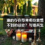 猫的存在带来哪些意想不到的益处?与猫共生的重要性解析(图4) 猫的存在带来哪些意想不到的益处?与猫共生的重要性解析(图4)