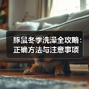 豚鼠冬季洗澡全攻略：正确方法与注意事项(图2)