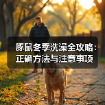 豚鼠冬季洗澡全攻略：正确方法与注意事项(图4)