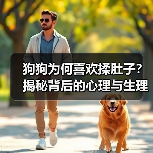 狗狗为何喜欢揉肚子?揭秘背后的心理与生理原因(图4) 狗狗为何喜欢揉肚子?揭秘背后的心理与生理原因(图4)