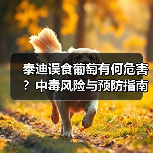 泰迪误食葡萄有何危害?中毒风险与预防指南(图3) 泰迪误食葡萄有何危害?中毒风险与预防指南(图3)
