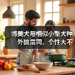 博美犬与相似小型犬种:外貌雷同,个性大不同?(图2) 博美犬与相似小型犬种:外貌雷同,个性大不同?(图2)