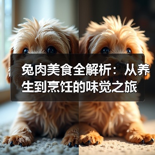 兔肉美食全解析:从养生到烹饪的味觉之旅(图3) 兔肉美食全解析:从养生到烹饪的味觉之旅(图3)