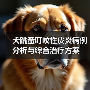 犬跳蚤叮咬性皮炎病例分析与综合治疗方案(图2) 犬跳蚤叮咬性皮炎病例分析与综合治疗方案(图2)
