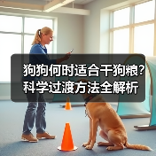 狗狗何时适合干狗粮?科学过渡方法全解析(图2) 狗狗何时适合干狗粮?科学过渡方法全解析(图2)