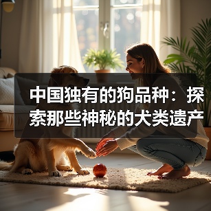 中国独有的狗品种：探索那些神秘的犬类遗产(图3)