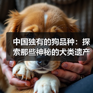 中国独有的狗品种：探索那些神秘的犬类遗产(图4)