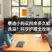 泰迪小狗买回来多久能洗澡？科学护理全攻略