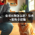 金毛长胖怎么吃?饮食+锻炼全攻略(图2) 金毛长胖怎么吃?饮食+锻炼全攻略(图2)