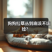 狗狗拉草丛到底该不该捡?(图2) 狗狗拉草丛到底该不该捡?(图2)