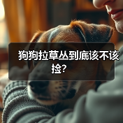 狗狗拉草丛到底该不该捡？
