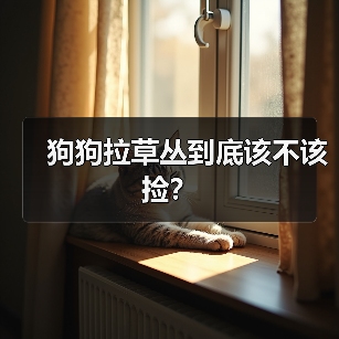 狗狗拉草丛到底该不该捡?(图4) 狗狗拉草丛到底该不该捡?(图4)