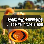 挑选适合的小型宠物狗：15种热门品种全解析(图4)
