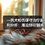 一例犬咬伤保守治疗案例分析:海泊舒控制感染效果如何?(图2) 一例犬咬伤保守治疗案例分析:海泊舒控制感染效果如何?(图2)