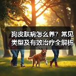 狗皮肤病怎么养？常见类型及有效治疗全解析(图2)