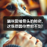 猫咪爱啃骨头的秘密,这些原因你意想不到!(图4) 猫咪爱啃骨头的秘密,这些原因你意想不到!(图4)