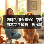 猫咪为何会踩奶?原因与意义全解析,揭秘背后真相(图3) 猫咪为何会踩奶?原因与意义全解析,揭秘背后真相(图3)