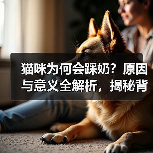 猫咪为何会踩奶?原因与意义全解析,揭秘背后真相(图4) 猫咪为何会踩奶?原因与意义全解析,揭秘背后真相(图4)