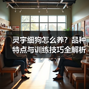 灵宇细狗怎么养?品种特点与训练技巧全解析(图3) 灵宇细狗怎么养?品种特点与训练技巧全解析(图3)