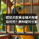 银狐犬配黄金猎犬有哪些优势?跨种配对全解析(图2) 银狐犬配黄金猎犬有哪些优势?跨种配对全解析(图2)